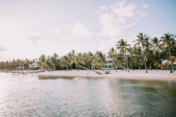 1dabe45b-9343-48ee-ade8-1be2429d356e_rw_600