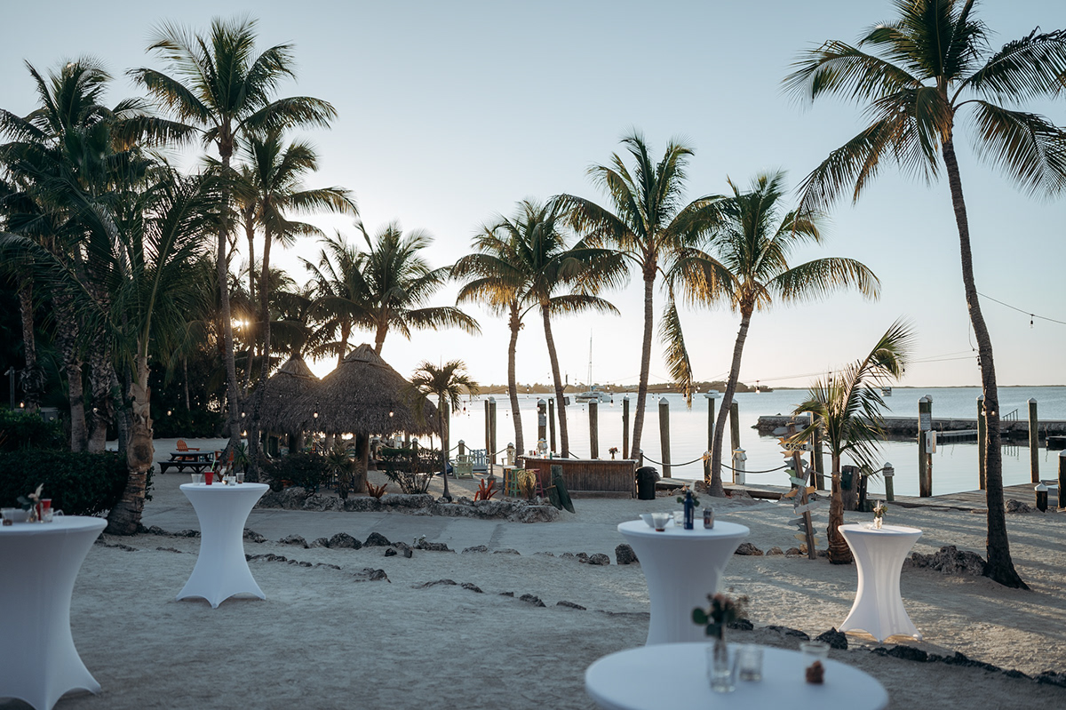 35295cd8-3990-4f40-af30-c8deb7571813_rw_1200