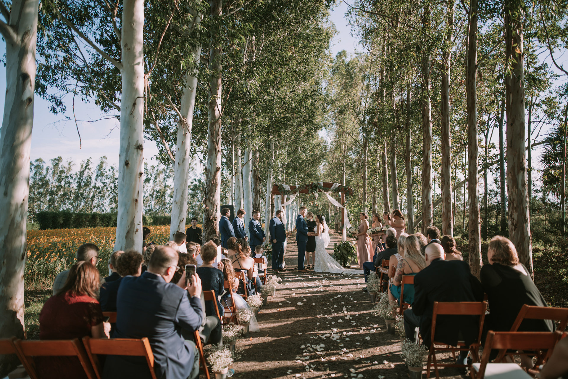 7bb25276-996c-4eac-9e5e-a2db8b21cf00_rw_1920